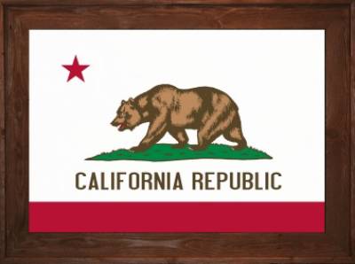 Framed California Flag 2 Dark Framed California Flag