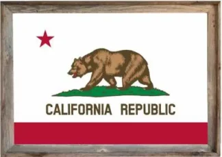 Framed California Flag