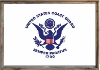 Framed Coast Guard Flag