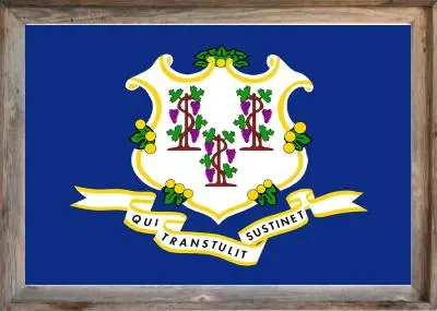 Framed Connecticut Flag
