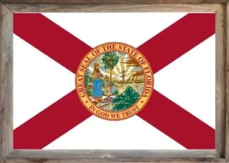 Framed Florida Flag
