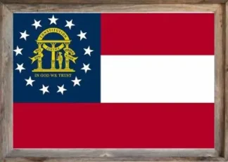Framed Georgia Flag