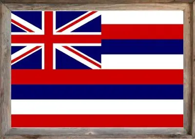 Framed Hawaii Flag