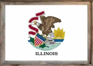 Framed Illinois Flag