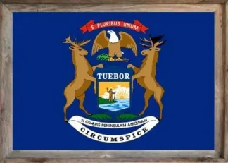 Framed Michigan Flag