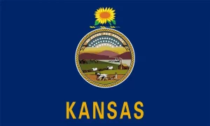 Kansas Flag