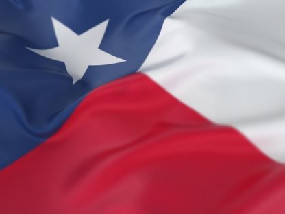 STATE FLAGS
