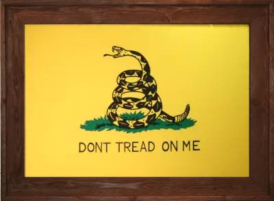 Framed Gadsden Flag 2 Dark Framed Don't Tread On Me Flag