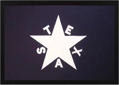 Framed 1st Republic of Texas Flag 3 Framed 1st Republic of Texas Flag Black