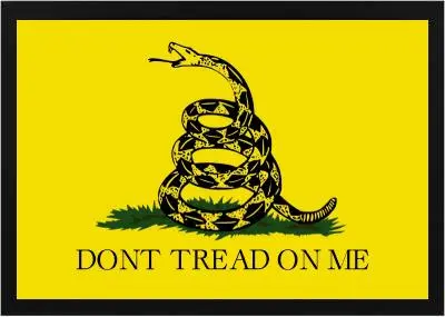 Framed Gadsden Flag 3 Framed Gadsden Flag Black