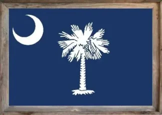 Framed South Carolina Flag