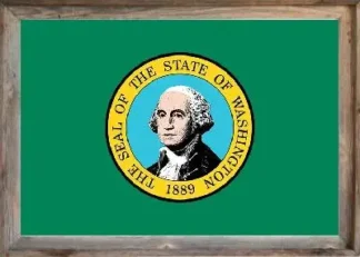 Framed Washington Flag