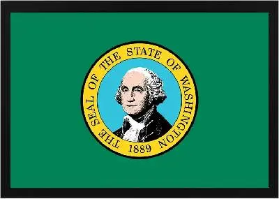 Framed Washington Flag 3 Framed Washington Flag - Image 3