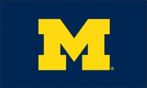 Blue Michigan Flag