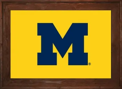 Framed Yellow Michigan University Flag 2 Framed Yellow Michigan Flag Dark