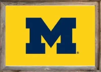 Framed Yellow Michigan University Flag