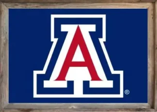 Framed Arizona University Flag