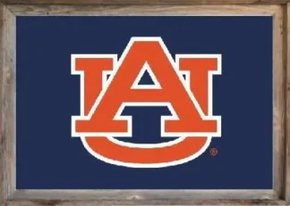 Framed Auburn Flag