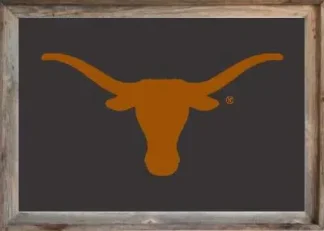Framed Black UT Flag