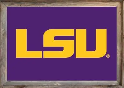 Framed LSU Flag