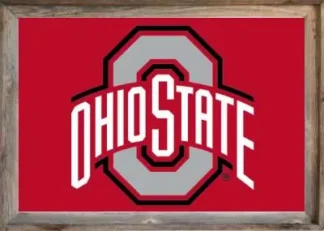 Framed Ohio State Flag