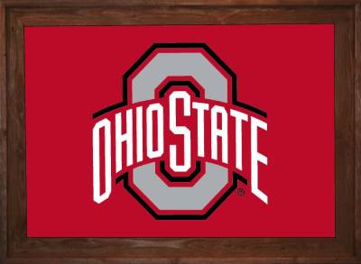 Framed Ohio State University Flag 2 Framed Ohio State University Flag Dark
