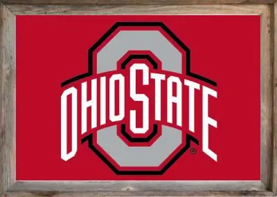 Framed Ohio State Flag