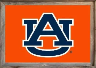 Framed Orange Auburn Flag