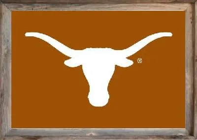 Framed UT Flag