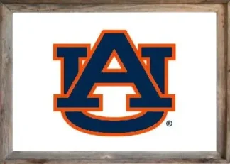 Framed White Auburn Flag