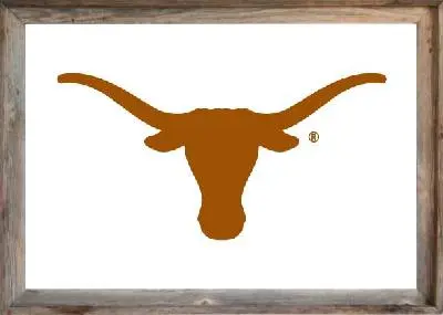 Framed White UT Flag