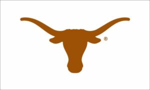 Orange Horns with White Background