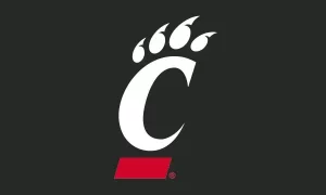Black Cincinnati University Flag Image