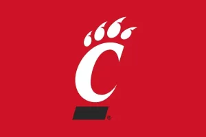 Cincinnati University Flag Image