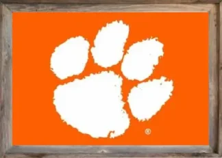 Framed Clemson Flag