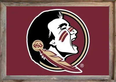 Framed FSU Flag
