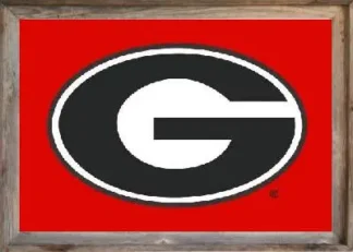Framed Georgia University Flag