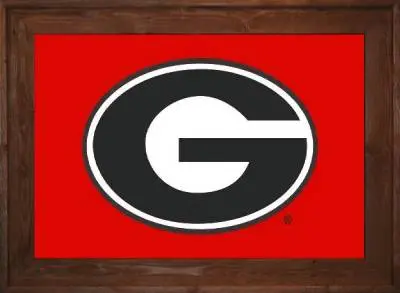 Framed Georgia University Flag 2 Framed Georgia University Flag Dark