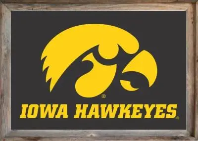 Framed Iowa University Flag