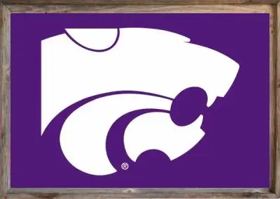 Framed Kansas State Flag