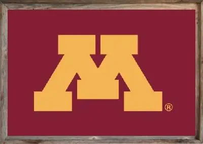 Framed Maroon Minnesota University Flag