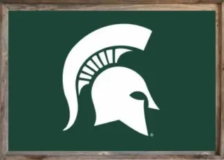 Framed Michigan State Flag