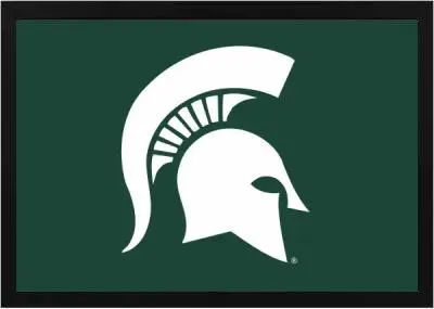 Framed Michigan State Flag 3 Framed Michigan State Flag Black