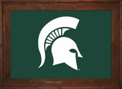 Framed Michigan State Flag 2 Framed Michigan State University Flag Dark