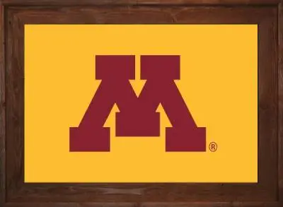 Framed Minnesota University Flag 2 Framed Minnesota University Dark