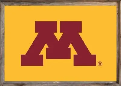 Framed Minnesota University Flag