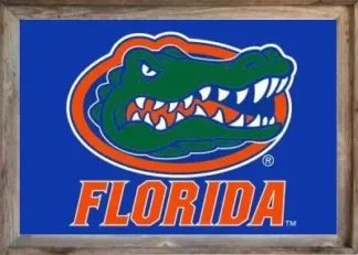 Framed University of Florida Flag