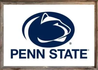 Framed White Penn State Flag