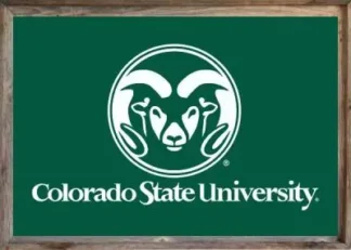 Framed Colorado State Flag