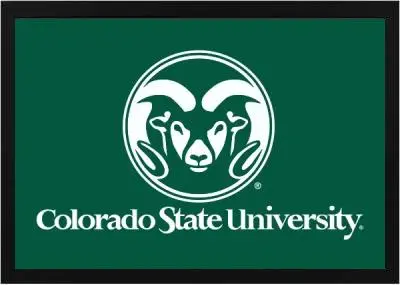 Framed Colorado State Flag 3 Framed Colorado State Flag Black